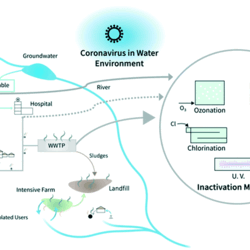 2020 ESWRT Coronavirus